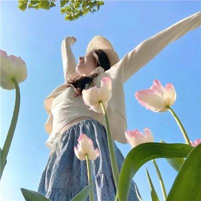 龟女士的奥德赛